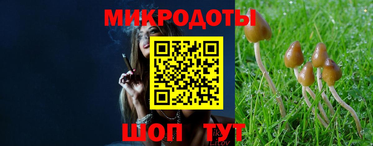 Березники  Галлюциногенные грибы мицелий  Вход с VPN 