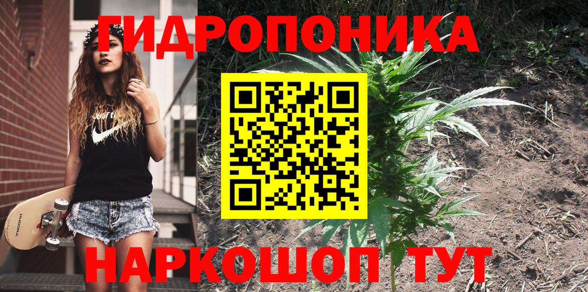 Канабис MAZAR  Бошки марихуана планчик  МАРИХУАНА план  Березники  Вход с VPN 